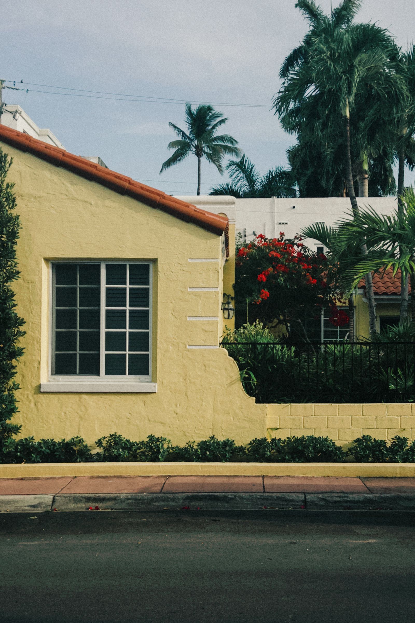 Yellow Florida bungalow with palms and blooming bougainvillea on a sunny residential street
