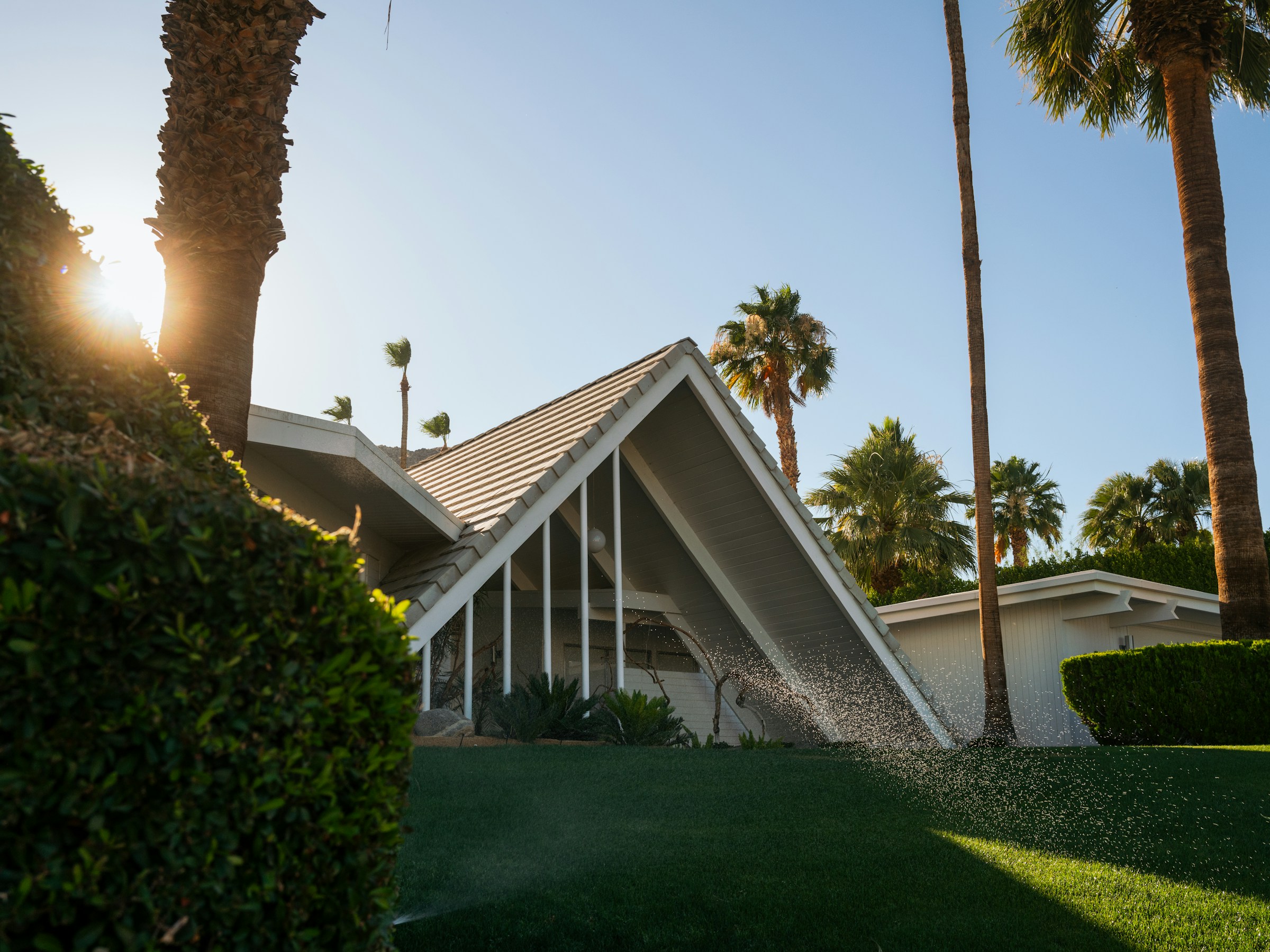 Sprinkler running over a manicured lawn at golden hour, mid-century home framed by palm trees