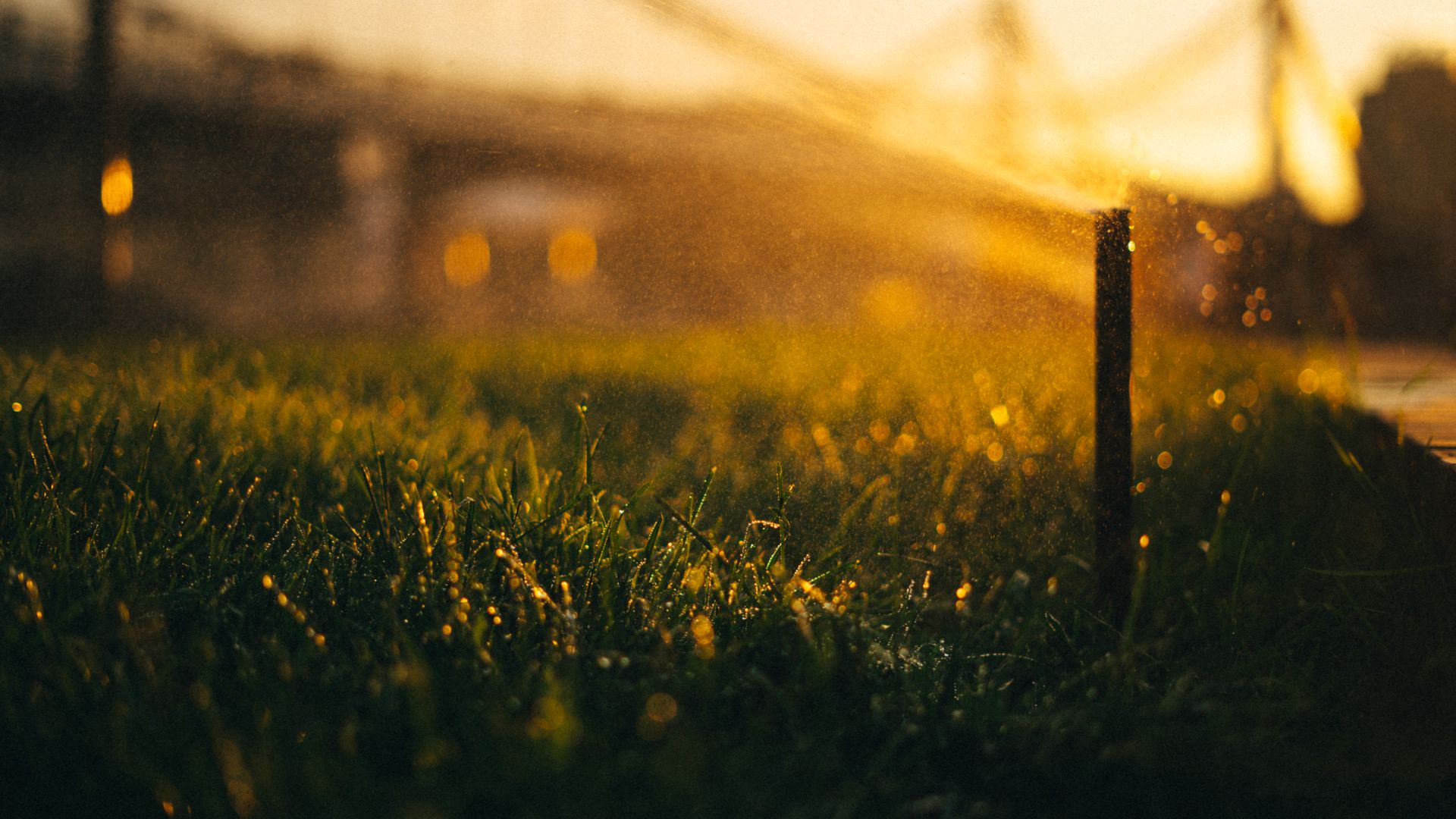 Irrigation head misting a lawn at golden hour, backlit spray catching the evening light