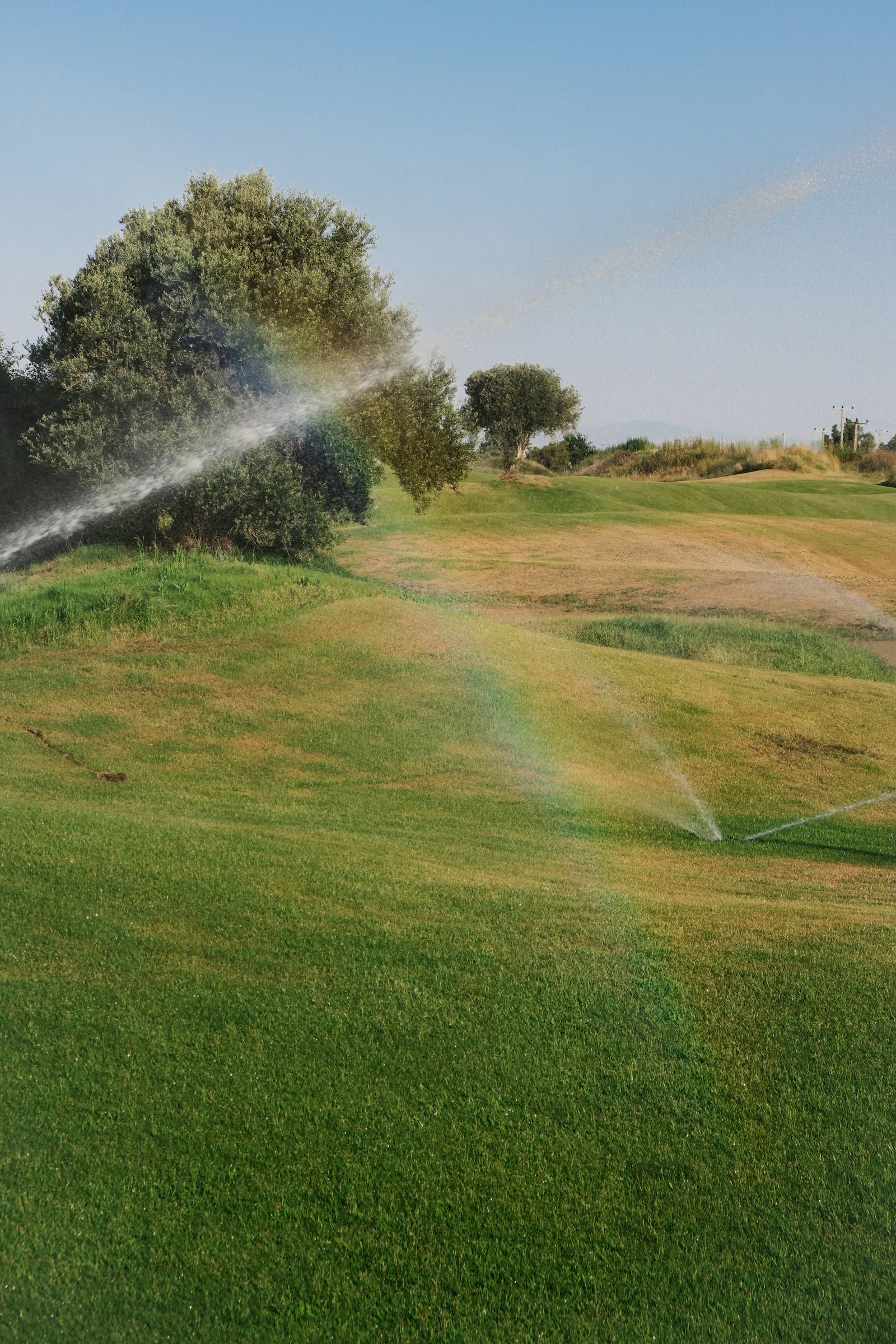 Lawn sprinkler in operation, fine spray catching the light over green turf.