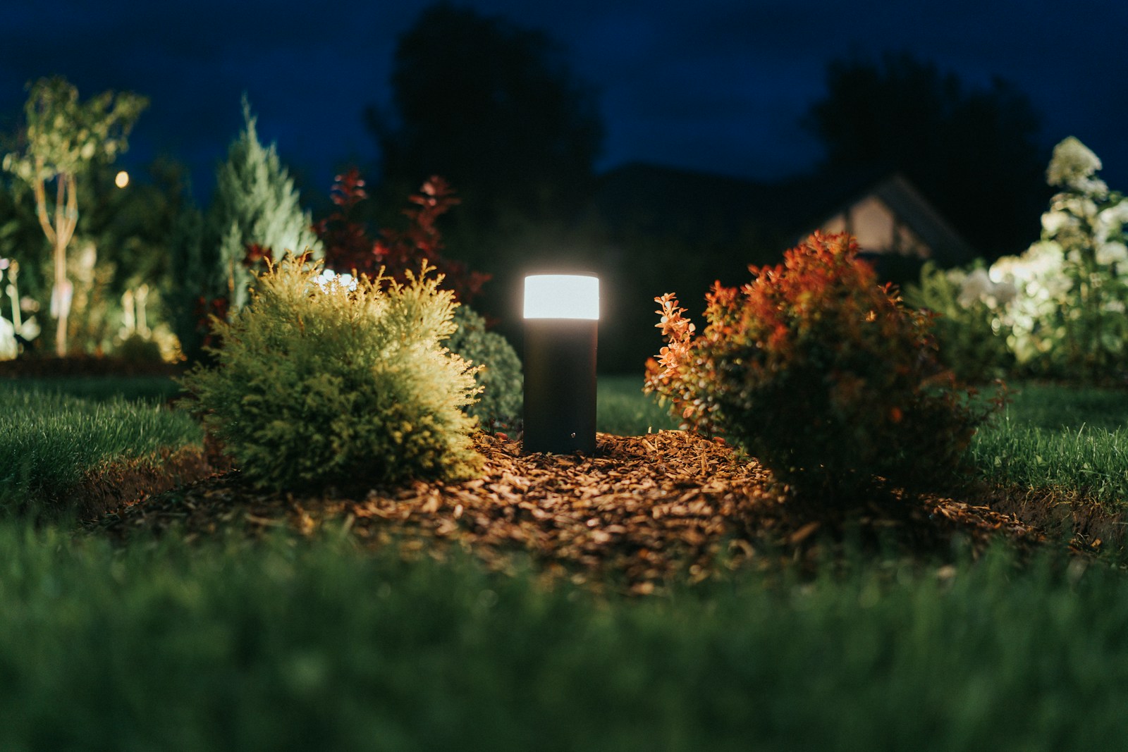 Modern bollard fixture casting warm light across a planted bed at dusk.